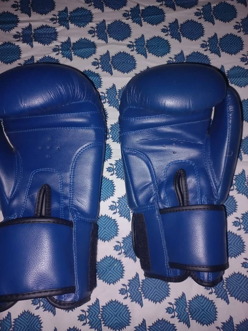 2 Boxing Gloves (everlast and venum) 4