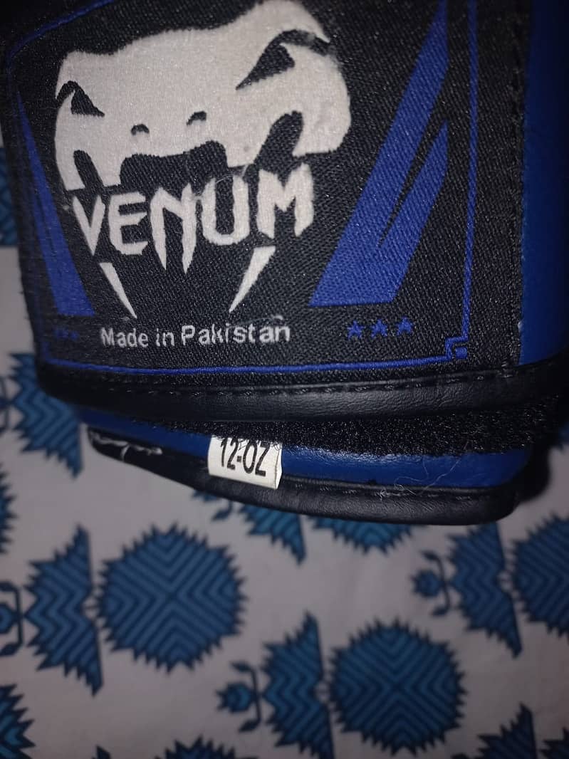 2 Boxing Gloves (everlast and venum) 5