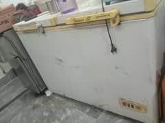 dawlance D freezer for sale