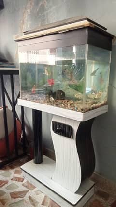 Aquariums for sale near me hotsell