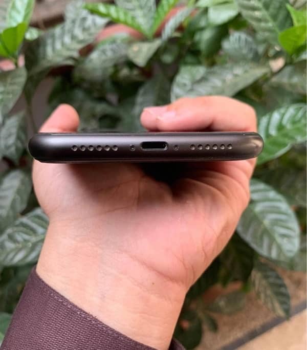 iPhone 11 physical dual PTA 1