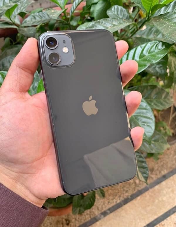 iPhone 11 physical dual PTA 3