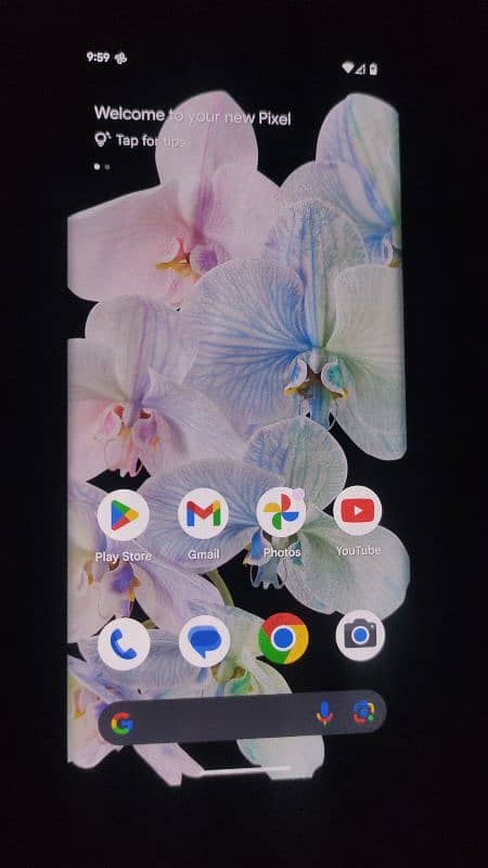 GOOGLE PIXEL 6PRO 12 / 128GB 0