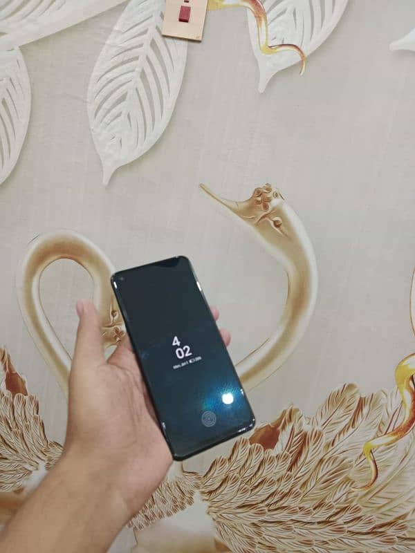 oppo f19 2