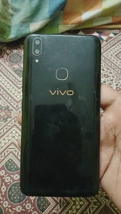 vivo