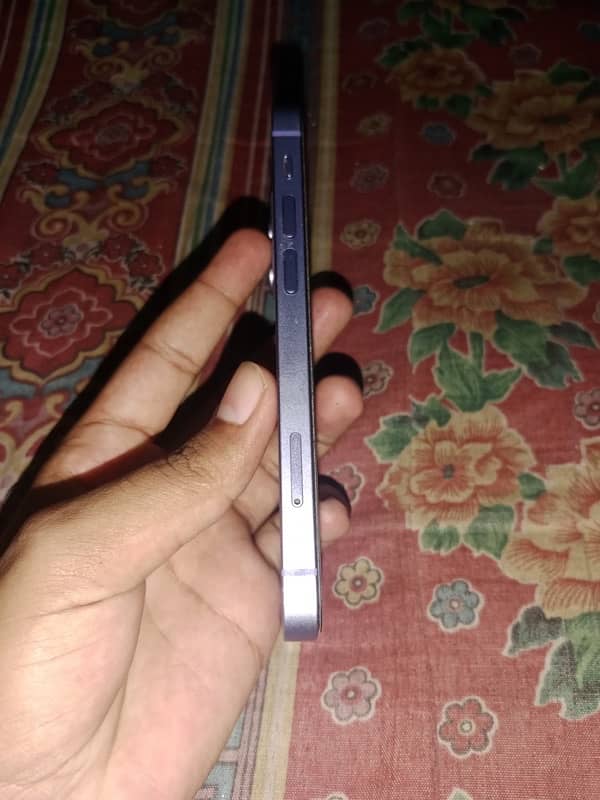 i phone 12 mini 1