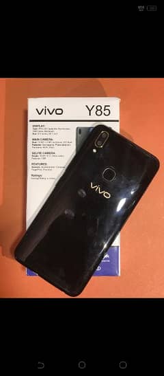 vivo