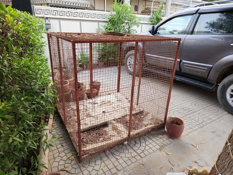 Pet Iron Cage 1