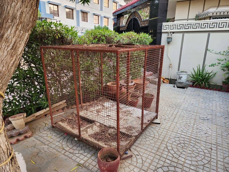 Pet Iron Cage 2