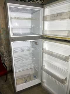 pel fridge medium size