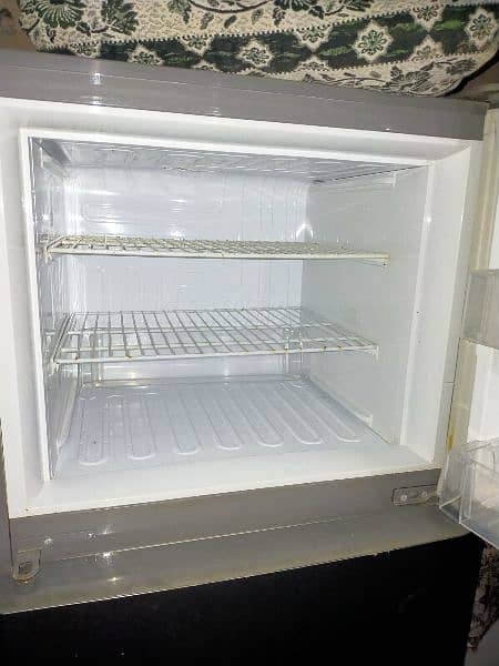 pel fridge medium size 2