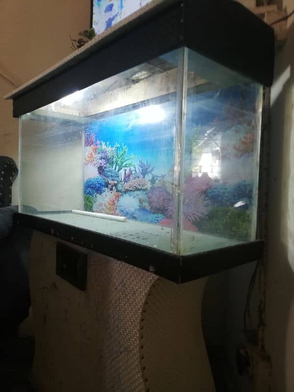 aquarium for sale 0