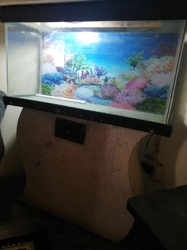 aquarium for sale 1