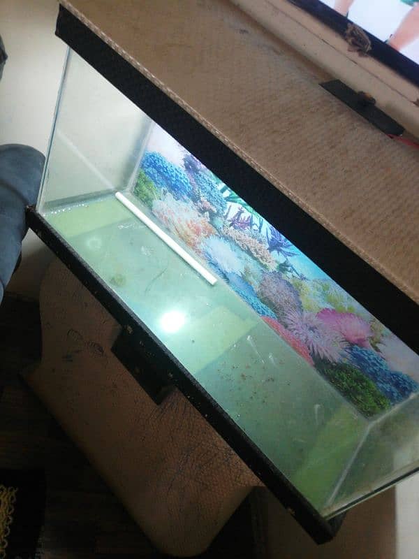 aquarium for sale 2