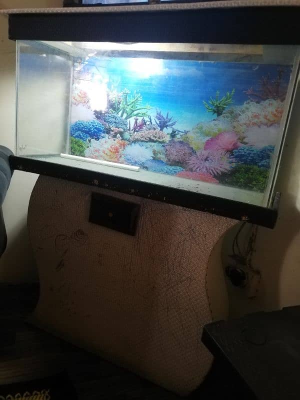 aquarium for sale 3