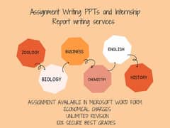 Assignment Writing Services 0