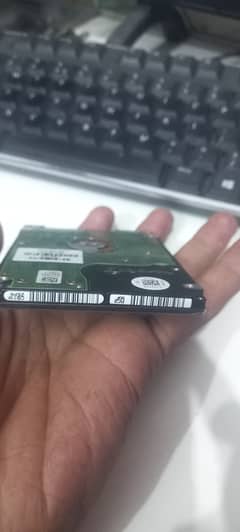 Hard Disk