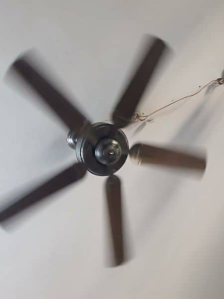 Fan Used 1