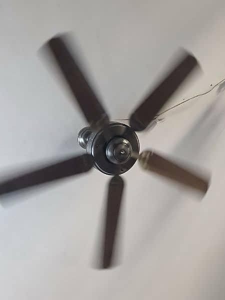 Fan Used 2