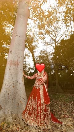 bridal lehnga