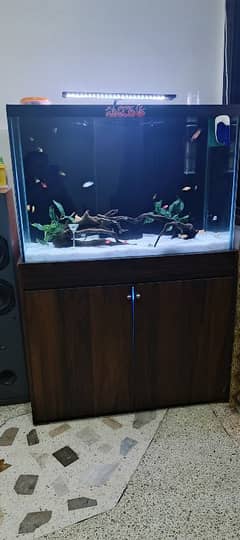 3 feet sump aquarium