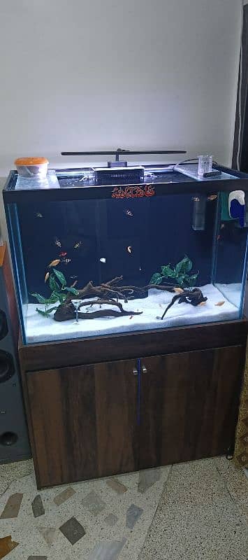 3 feet sump aquarium 1