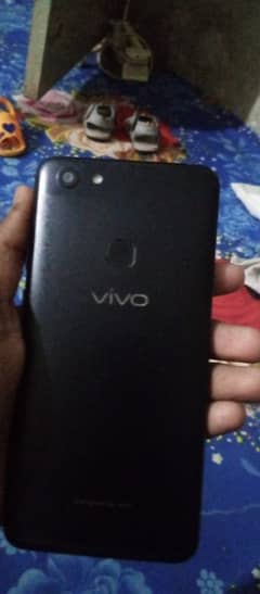 Vivo