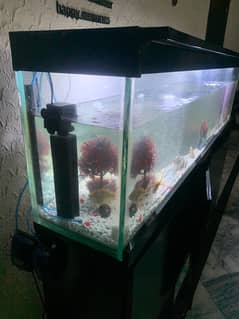 6Ft Fish Aquarium Setup Few Days Used