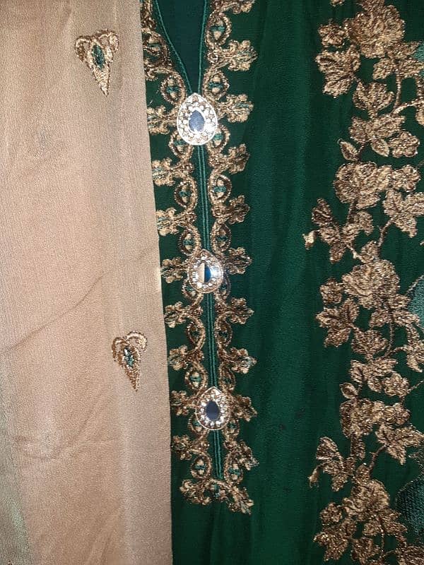 festive embroidered green chiffon three piece dress with golden embrdy 2