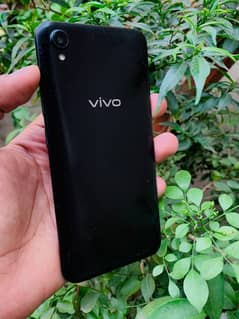 Vivo