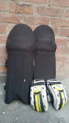 Cricket pads and gloves