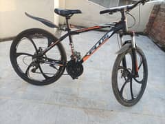 Bicycle for sale