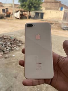 iphone 8 plus / 03091419441