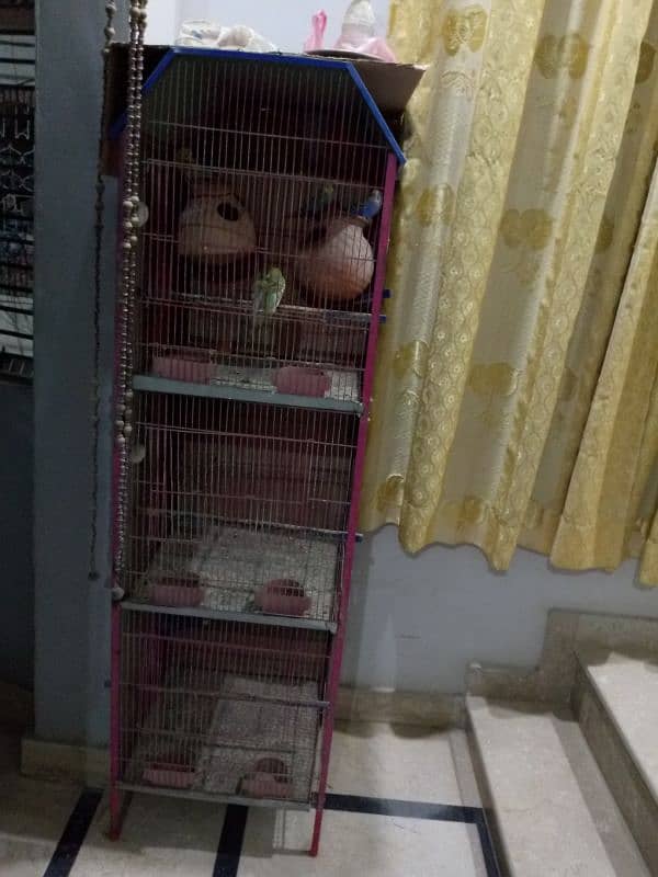 Three step Cage 1