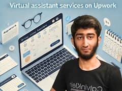 Virtual Assistant and Data Entry Expert at Upwork 0