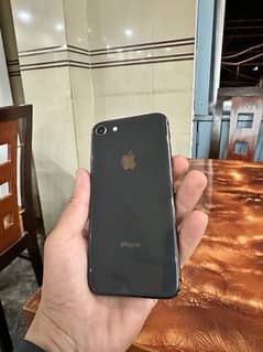 iPhone 8 0