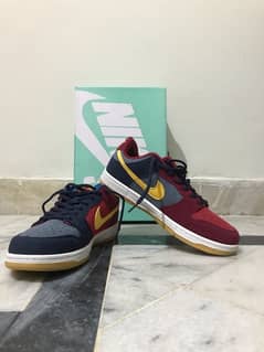 Nike Sb (Barcelona Special Edition)