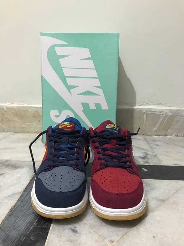 Nike Sb (Barcelona Special Edition) 1