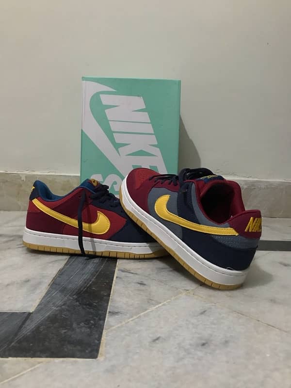 Nike Sb (Barcelona Special Edition) 3