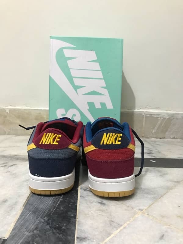 Nike Sb (Barcelona Special Edition) 4