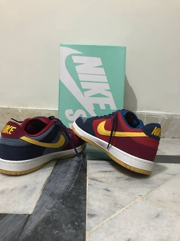 Nike Sb (Barcelona Special Edition) 6