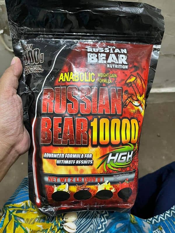 Russian Bear Supplement 0