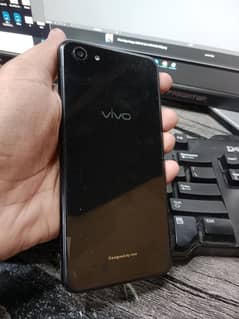 Vivo