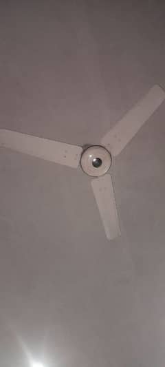 high quality ceiling fans for sale