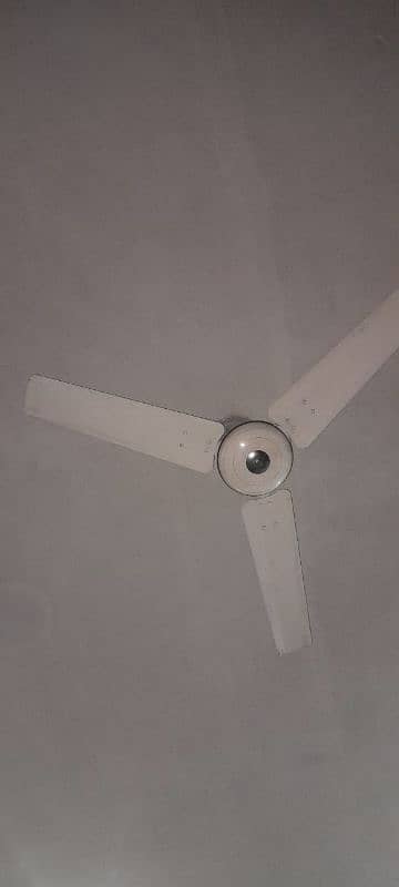 high quality ceiling fans for sale 1