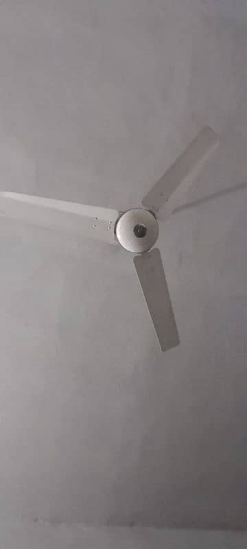 high quality ceiling fans for sale 2