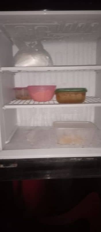 pel fridge condition new jaisa hai zabardast perfect hai 1