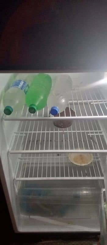 pel fridge condition new jaisa hai zabardast perfect hai 3