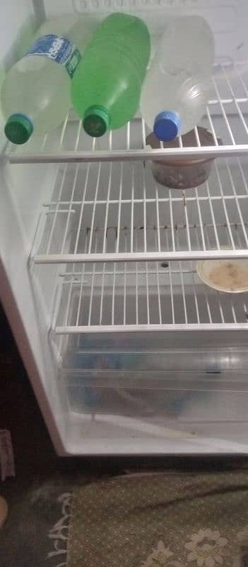 pel fridge condition new jaisa hai zabardast perfect hai 4