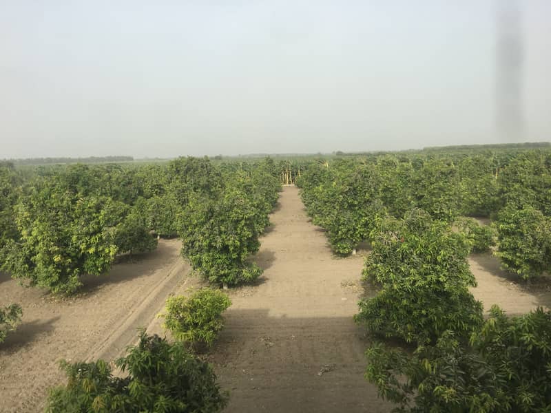 Beautiful 230 Sq Yd Agriculture Land Hyderabad - Mirpurkhas Road 2